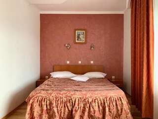 Гостевой дом Pensiunea Confort Сучава Улучшенный двухместный номер с 1 кроватью-1